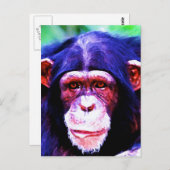 Carte Postale Portrait de Chimpanzé (Devant / Derrière)