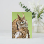 Carte Postale Portrait de chouette (Debout devant)