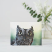 Carte Postale Portrait de Chouette de l'Est montrant de grands y (Debout devant)