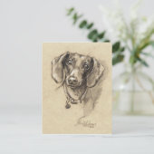 Carte Postale Portrait de Dachshund (Debout devant)