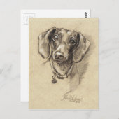 Carte Postale Portrait de Dachshund (Devant / Derrière)