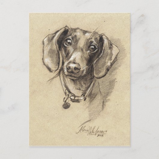 Carte Postale Portrait de Dachshund (Devant)