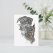 Carte Postale Portrait de deux Dobermans (Debout devant)