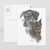 Carte Postale Portrait de deux Dobermans (Devant / Derrière)