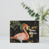 Carte Postale Portrait de flamant rose Photo d'anniversaire de f (Debout devant)