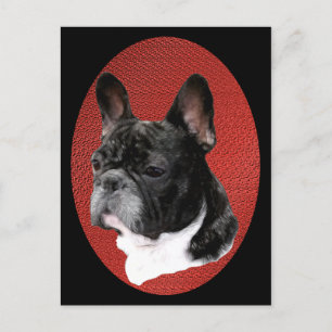Carte Postale Portrait de French Bulldog