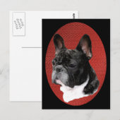 Carte Postale Portrait de French Bulldog (Devant / Derrière)