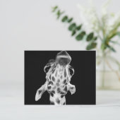 Carte Postale Portrait de Giraf noir et blanc, photo d'animal (Debout devant)