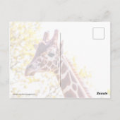 Carte Postale Portrait de Giraffe (Dos)
