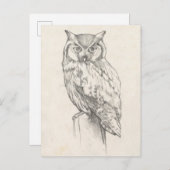 Carte Postale Portrait de hibou - croquis (Devant / Derrière)
