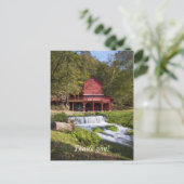 Carte Postale Portrait de Hodgson Mill (Debout devant)