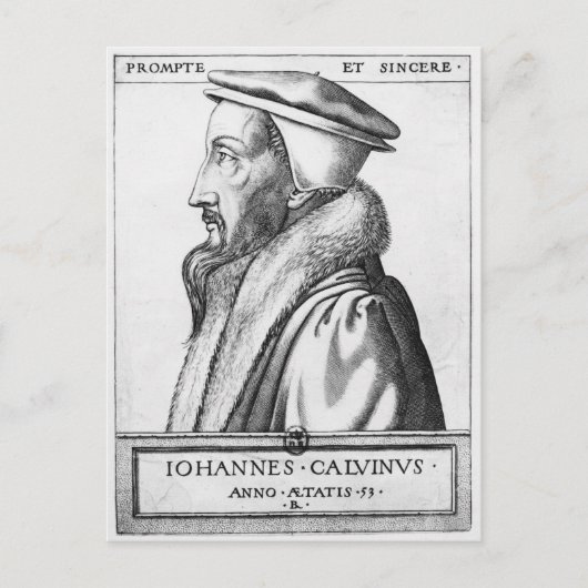 Carte Postale Portrait de John Calvin âgé de 53 ans, 1564 (Devant)