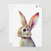 Carte Postale Portrait de Lapin 022 (Devant / Derrière)