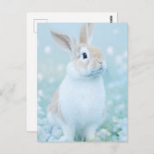 Carte Postale Portrait de lapin 095 (Devant / Derrière)