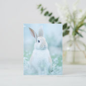 Carte Postale Portrait de lapin 096 (Debout devant)