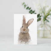 Carte Postale Portrait de lapin 40 (Debout devant)
