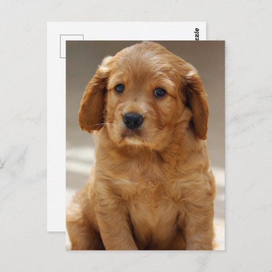 Carte Postale Portrait de marionnette (Devant / Derrière)