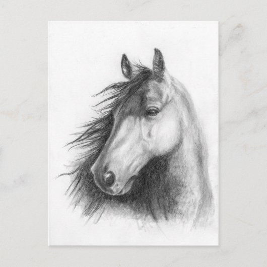 Carte postale portrait de Moe the Morgan (Devant)