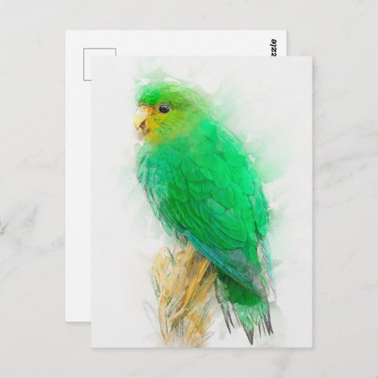 Carte Postale Portrait de perruque à front roux (Devant / Derrière)