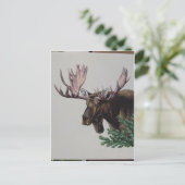 Carte Postale Portrait de tête d'orignal (Debout devant)