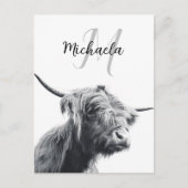 Carte Postale Portrait de vache Highland premier monogramme noir (Devant)