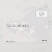 Carte Postale Portrait De Vincenzo Mosti Par Titien (Dos)