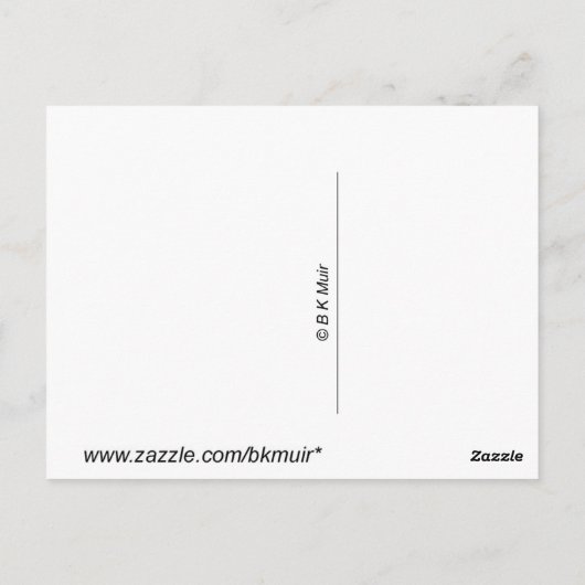 Carte postale - Portrait d'oie (Dos)