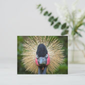 Carte Postale Portrait d'oiseau de grue (Debout devant)