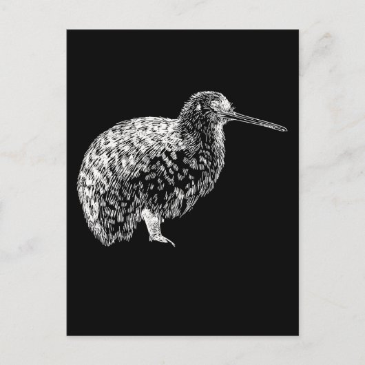 Carte Postale Portrait d'oiseau Kiwi Animal de Nouvelle-Zélande (Devant)