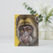 Carte Postale Portrait drôle de singe (Debout devant)