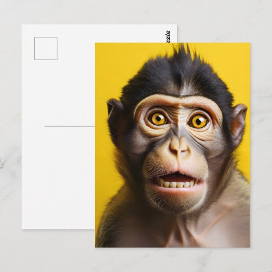 Carte Postale Portrait drôle de singe (Devant / Derrière)
