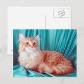 Carte Postale Portrait du chat (Devant / Derrière)