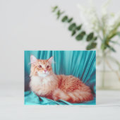 Carte Postale Portrait du chat (Debout devant)