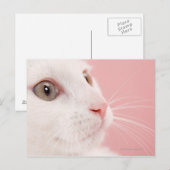 Carte Postale Portrait du chat (Devant / Derrière)