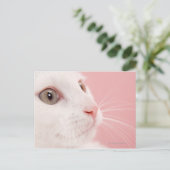 Carte Postale Portrait du chat (Debout devant)