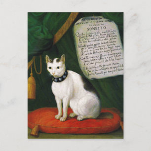 Carte Postale Portrait du chat Armellino