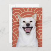 Carte Postale Portrait du chien 3 (Devant / Derrière)