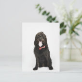 Carte Postale Portrait du chien de Labradoodle (Debout devant)