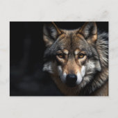 Carte Postale Portrait du loup (Devant)