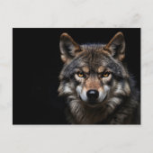 Carte Postale Portrait du loup (Devant)