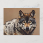 Carte Postale Portrait du loup (Devant)