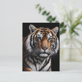 Carte Postale Portrait du tigre (Debout devant)