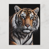 Carte Postale Portrait du tigre (Devant)