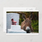 Carte Postale Portrait d'un âne en Irlande (Devant / Derrière)