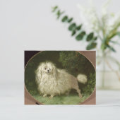 Carte Postale Portrait d'un caniche (Debout devant)