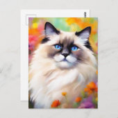 Carte Postale Portrait d'un chat Ragdoll Relax (Devant / Derrière)