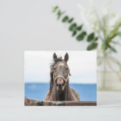 Carte Postale Portrait d'un cheval (Debout devant)