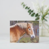 Carte Postale Portrait d'un cheval de travail (Debout devant)