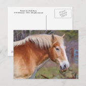 Carte Postale Portrait d'un cheval de travail (Devant / Derrière)