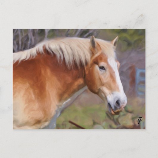 Carte Postale Portrait d'un cheval de travail (Devant)